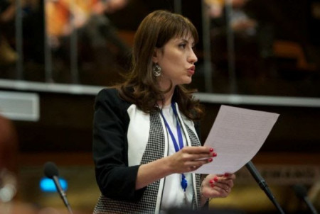 Image result for նաիրա կարապետյան ԵԵԽՎ